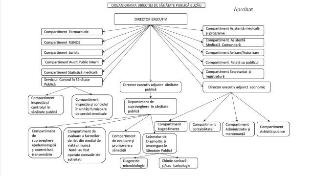 Organigrama Direcției de Sănătate Publică a Județului Buzău